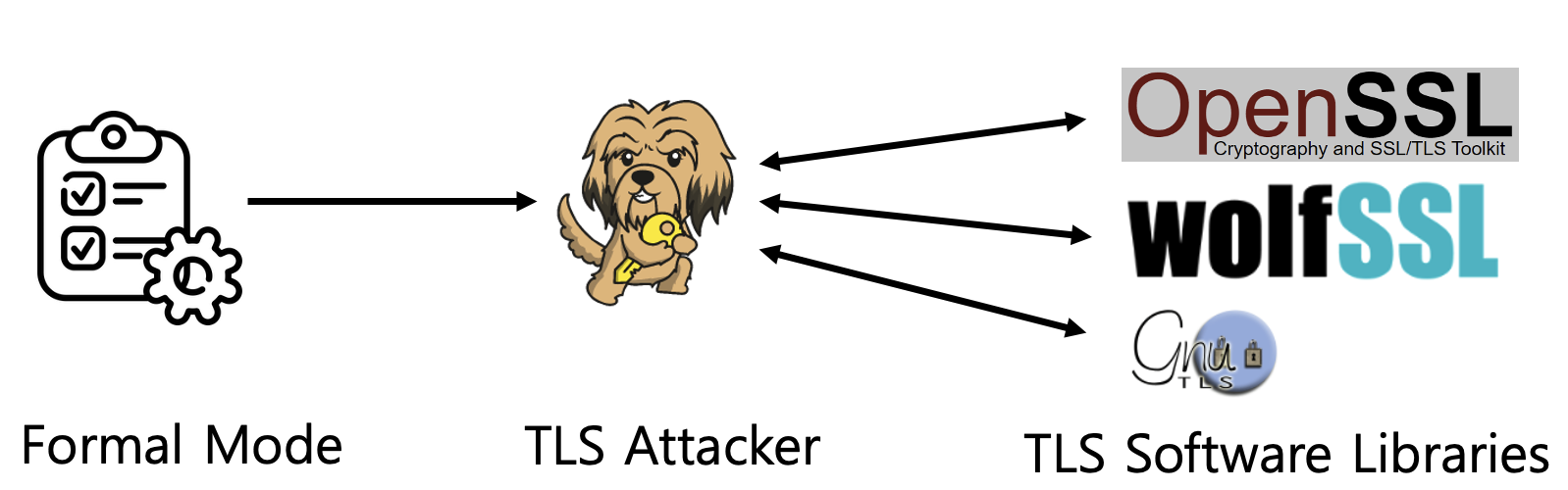 TLS Protocols