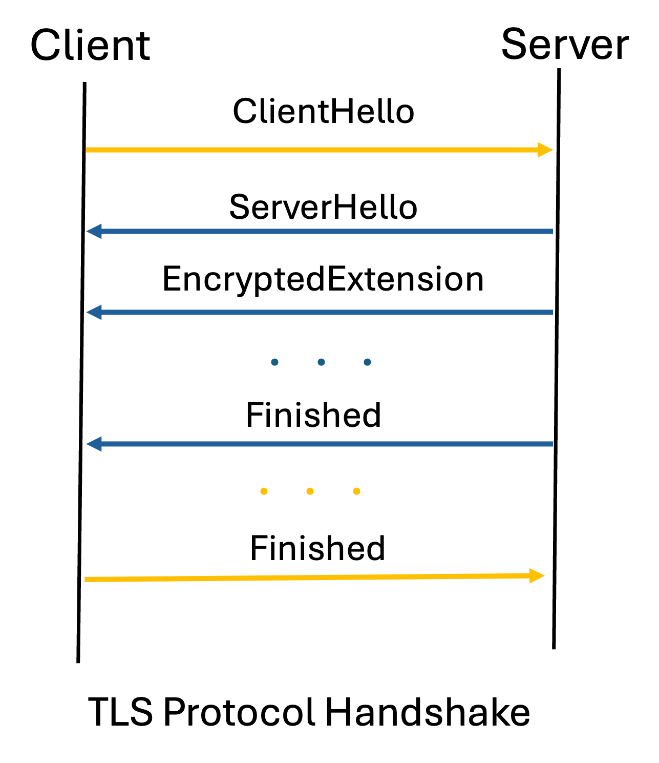 TLS Protocols
